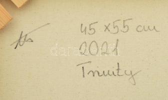 Nagy (Boglárka) Alíz (2001-): Trinity. Olaj, vászon. Jelezve a hátoldalán. 55x45 cm. / oil on canvas...