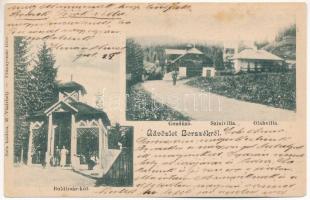 1902 Borszék, Borsec; Boldizsár kút, Gondűző villa, Szini villa, Oláh villa. Soós Károly kiadása / spa, spring source, villas (fl)