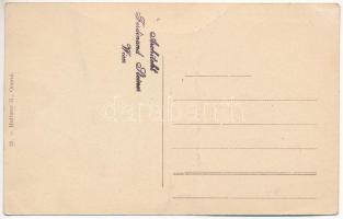 Orsova, A szerbek által elsüllyesztett hajók Orsova mellett. Hutterer G. kiadása / Von den Serben ze...