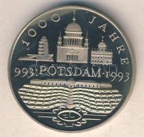 Németország 1993. "1000 éves Potsdam" ffm emlékérem T:PP