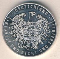 Németország 2006. "Labdarúgó VB - Németország" Ag 25,1g emlékérem T:PP