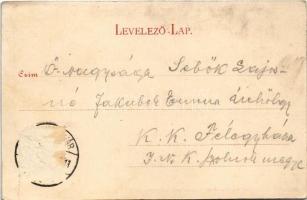 1901 Kolozsvár, Cluj; Egyetemi épületek az Alsó-szén utcában. Dunky fivérek 7981. / university build...