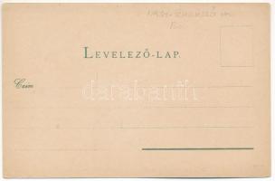 Segesvár, Schässburg, Sighisoara; Gewerbevereinshaus und Gymnasium / Iparosegylet székháza és gimnáz...