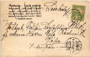 1904 Nagymegyer, Velky Meder, Calovo; csacsi hintó egy villa udvarán / donkey chariot on the courtya...