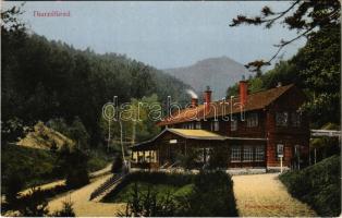 Thurzófüred, Kupele Turzo (Gölnicbánya, Gelnica); Fürdő vendéglő, étterem. Feitzinger Ede No. 733. / spa restaurant