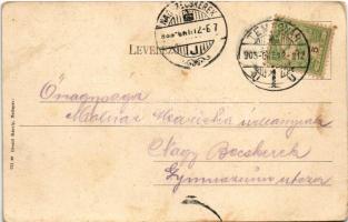 1905 Temesvár, Timisoara; Béga részlet, Horgony kávéház, híd. Divald Károly 771. sz. / Bega riversid...