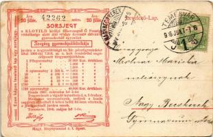 1906 Temesvár, Timisoara; Bégasor, híd. Hátoldalon sorsjegy a Szegény gyermekpoliklinika javára / Be...