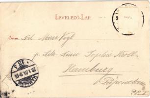 1901 Kolozsvár, Cluj; megyeház, Jakner József cipész üzlete / county hall, shop (Rb)