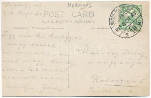 1912 Medgyes, Mediasch, Medias; utca árvíz idején szeptember 30-án / flooded street on September 30....