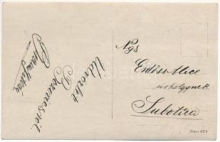 Bozovics, Bozovici; Herculesfürdői út, Sparger Ignác üzlete / street, shop. photo