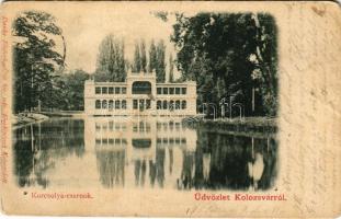 1901 Kolozsvár, Cluj; Korcsolyacsarnok. Dunky fivérek cs. és kir. udvari fényképészek / skate hall (Rb)