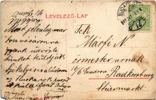 1909 Martonvásár, Vármegyei árvaház. W.L. 1290. (EM)