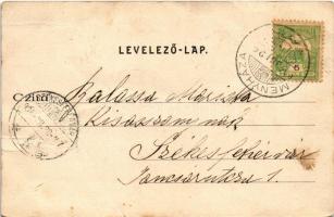 1904 Menyháza, Monyásza, Moneasa; Vila Cianad / A CSEV (Arad-Csanádi Egyesült Vasutak) nyaralója / v...