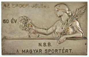 Exner Károly (1850-1919) DN "Az érdem jeléül" ezüstözött bronz plakett "SGA" gyártói jelzéssel és "50 év - NSB a magyar sportért" gravírozással (55x36mm) T:XF