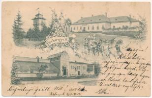 1900 Perbenyik, Perbenik, Pribeník; Gróf Majláth József kastély még az eredeti földszintes állapotban, víztorony, üvegház / castle in original ground floor condition, water tower, greenhouse. Art Nouveau, floral (EK)