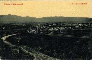 1909 Hátszeg, Hateg; város látképe. W.L. 1705. / general view