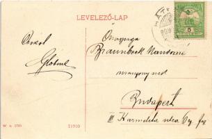 1909 Hátszeg, Hateg; város látképe. W.L. 1705. / general view
