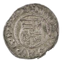 1590K-B Denár Ag "Rudolf" (0,98g) T:AU Hungary 1590K-B Denar Ag "Rudolf" (0,98g)...