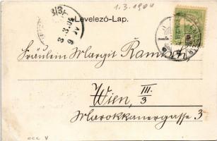 1904 Temesvár, Timisoara; Városliget út, villamos. Morawetz & Weisz kiadása / street, tram (r)