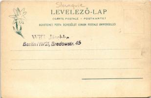 Tátra, Magas-Tátra, Vysoké Tatry; Szepesi cigányok. Feitzinger Ede 1902/12. Auto-Chrom 481. / Zipser...