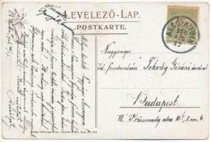 1906 Turdossin, Tvrdosín (Árva megye); Városháza. Feitzinger Ede 1905. Aut. N. 874. / Stadthaus / to...