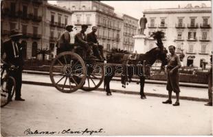 Palermo, Italian carriage and bicycle, folklore. photo (gluemarks)