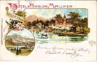 1899 (Vorläufer) Bled, Veldes; Hotel &amp; Pension Mallner. C. Jurischek No. 347. Art Nouveau, floral, litho (r)