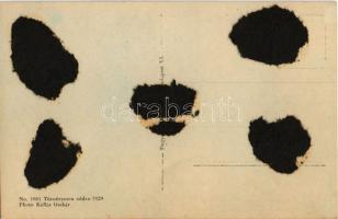 Nagybányai Vitéz Horthy Miklós Magyarország kormányzója. Photo Kallós Oszkár 1929. No. 1081. (ragasz...