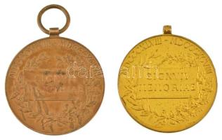 1898. "Jubileumi Emlékérem Polgári Állami Alkalmazottak Számára / Signum memoriae (AVST)" ...