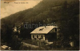 1912 Vihnye, Vihnyefürdő, Kúpele Vyhne; Pinusz és Szokács villa. Joerges kiadása / villas (fl)