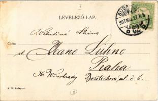 1907 Budapest I. Szt. Gellérthegyi részlet a feljáró lépcsővel. K.W. (fl)