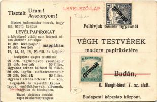 Budapest I. Tabán, Krisztinaváros a királyi várpalotával. Hátoldalon Végh Testvérek modern papírüzle...