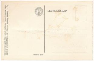 Kolozsvár, Cluj; Erdélyi Kárpát Egyesület kiadása I. sorozat 1. csoport. Háromszínű árvácska, élővir...