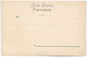 Salutari din Romania. Casa Gradinarilori. Editiunea Witold Bulfinsky (Craiova) / Greetings from Roma...