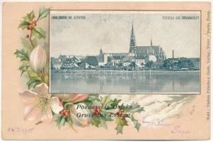 1900 Eszék, Osijek, Essegg; Gor. Osiek sa Sjevera / Ob. Drauansicht / látkép. Szecessziós virágos litho / general view. Art Nouveau, floral, litho (szakadás / tear)