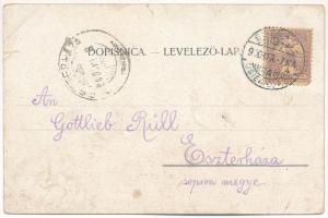 1900 Eszék, Osijek, Essegg; Gor. Osiek sa Sjevera / Ob. Drauansicht / látkép. Szecessziós virágos li...