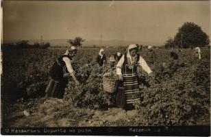 1931 Kazanlak, Kazanlik, La recolte / rózsa szüret / rose harvest. Gr. Paskoff (fl)