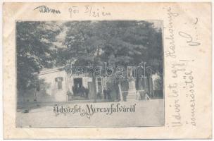 1901 Mercyfalva, Merczyfalva, Merczifalva, Carani, Mertisoara; üzlet / shop (fl)