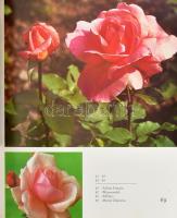 W. N. Bylow N. L. Michailow: Rosarium - Des Zentralen Botanischen Gartens der Akademie der Wissensch...