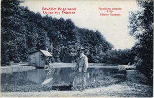 1915 Fogaras, Fagaras; Fejedelem asszony kútja. Fleissig Jakab kiadása / Fürsten Brunnen / well