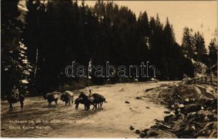 Gázló Kalne mellett. Hofmann cs. és kir. altábornagy hadtestje. Hadifénykép Kiállítás / WWI Austro-Hungarian K.u.K. military, crossing the river near Kalne (Ukraine)