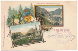 1907 Negoj-csúcs, Negoi (Fogarasi-havasok (Fogarasi Kárpátok), Fogarascher Karpathen, Muntii Fagarasului); Schutzhütte, Michaelisruhe und Reissenbergerspitze / menedékház / turist house, chalet. Herausgegeben v. d. Sektion Hermannstadt des siebenb. Karpathenvereins. Jos. Drotleff. Art Nouveau, coat of arms, pine cone. litho (EK)