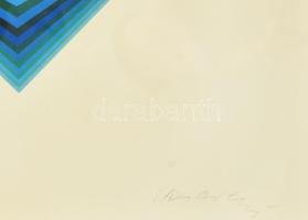 Vasarely Victor (1908-1997): Rhombus, 1971. Heliogravűr, papír. Jelzett. Neuchatel, Éditions du Grif...