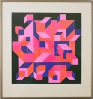 Vasarely Victor (1908-1997): Geometrikus kompozíció (cím nélkül). Heliogravűr, papír. Jelezve középen lent. Üvegezett keretben. 28x28 cm.