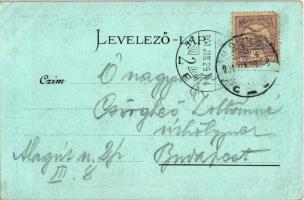 1901 Miskolc, A hámori tó. Gedeon A. kiadása. Art Nouveau, litho (EK)