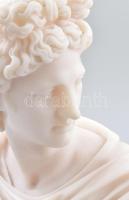 Appoló mellszobra. Öntött márvány. m: 23 cm