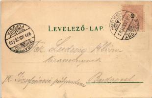 1900 Pozsony, Pressburg, Bratislava; blumenaui (lamacsi) csata emlékműve a Zerge-hegyen, színház, hí...