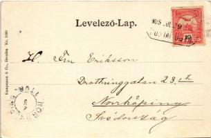 1905 Szigliget, vár. Kampmann & Co. kiadása (EK)