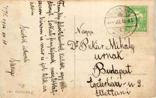 1914 Vajdahunyad, Hunedoara; úri család a kertben / family in the garden. photo