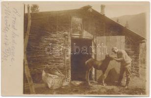 1917 Úzvölgye, Valea Uzului; katona csikóval (A vonat kedvence) / WWI K.u.K. military, soldier with young horse. photo (EK)